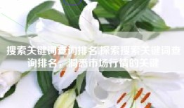 搜索关键词查询排名,探索搜索关键词查询排名，洞悉市场行情的关键