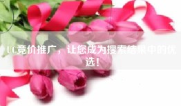 UC竞价推广，让您成为搜索结果中的优选！