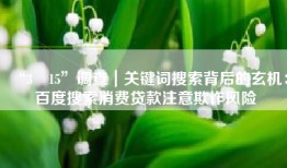 “3•15”调查｜关键词搜索背后的玄机：百度搜索消费贷款注意欺诈风险