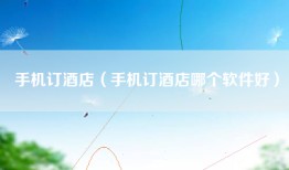 手机订酒店（手机订酒店哪个软件好）