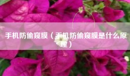 手机防偷窥膜（手机防偷窥膜是什么原理）