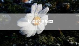 艾德哈迪加盟
