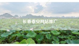 长春泰安网站推广