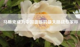 马斯克成为中国面临的最大挑战专家称