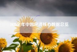 2023全年中国经济核心数据总览