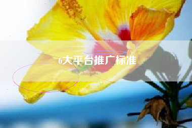 6大平台推广标准