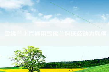 雪佛兰上汽通用雪佛兰科沃兹动力如何