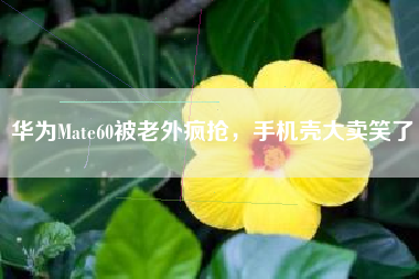 华为Mate60被老外疯抢,手机壳大卖笑了 华为Mate60被老外疯抢,手机壳大卖笑了