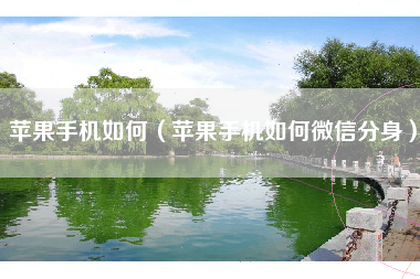 苹果手机如何（苹果手机如何微信分身）
