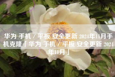 华为 手机/平板 安全更新 2024年11月手机克隆「华为 手机/平板 安全更新 2024年11月」 华为 手机/平板 安全更新 2024年11月手机克隆「华为 手机/平板 安全更新 2024年11月」