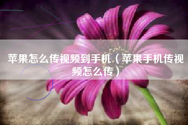 苹果怎么传视频到手机（苹果手机传视频怎么传）