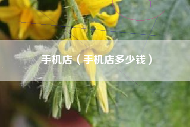 手机店（手机店多少钱）
