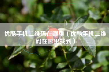 优酷手机二维码在哪里（优酷手机二维码在哪里找到）