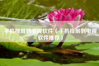 手机投屏到电视软件（手机投屏到电视软件推荐）